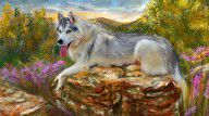 13946191_Siberian_Leisure_-_Siberian_Husky_Painting