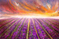 14402864_Lavender_Field_Painting_-_Impressionist