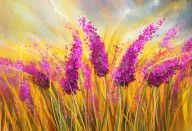 14415802_Sunny_Lavender_Field_-_Impressionist