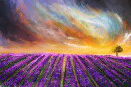 14415843_Menacing_Beauty_-_Lavender_Fields_Paintings
