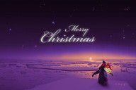 13495732_Christmas_Card_-_Penguin_Purple