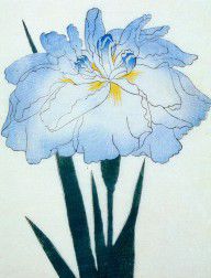 11695988_Japanese_Flower