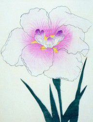 11695935_Japanese_Flower