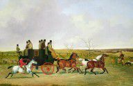 10411171_Horse_And_Carriage
