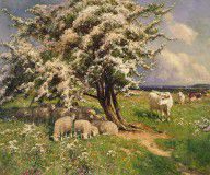 6969835_Sheep_And_Cattle_In_A_Landscape