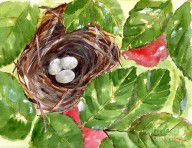 4236632_Roses_And_Robin's_Eggs