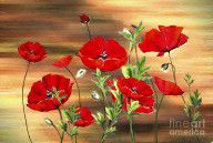 14295936_Abstract_Poppies_Painting_On_Wood