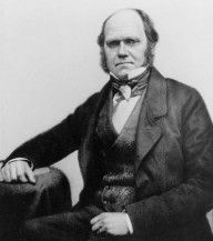 7004761_Portrait_Of_Charles_Darwin