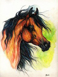 706175_The_Bay_Arabian_Horse_11