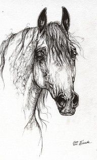 2595410_Arabian_Horse_Drawing_47