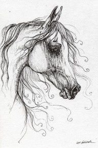 2595469_Arabian_Horse_Drawing_48