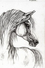 2733364_Arabian_Horse_Drawing_56