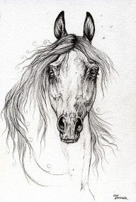 2711342_Arabian_Horse_Drawing_55
