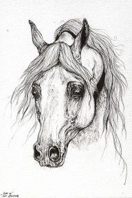 2690648_Piaff_Polish_Arabian_Horse_Drawing_2