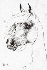 2641401_Arabian_Horse_Drawing_52