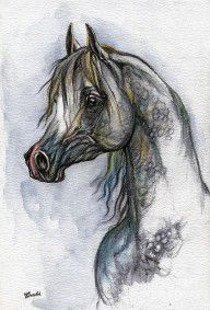 627108_The_Grey_Arabian_Horse_10