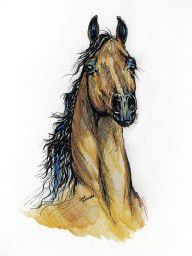 617981_The_Bay_Arabian_Horse_13