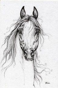 2528565_Arabian_Horse_Drawing