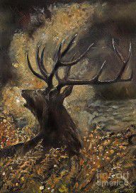 639685_the_Stag_sitting_in_the_grass_oil_painting