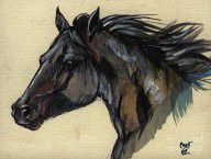 1264335_The_Black_Horse
