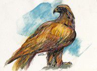 1466559_The_Eagle_Drawing