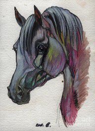 1249610_The_Grey_Horse_Drawing_1