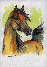 1275036_The_Bay_Arabian_Horse_5