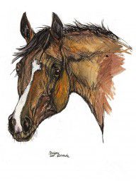 1448884_The_Horse_Portrait