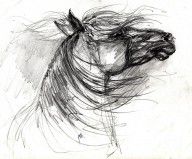 1459895_The_Horse_Sketch