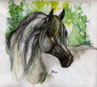 1275166_The_Grey_Horse_Drawing