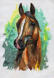 1275123_The_Bay_Arabian_Horse_2