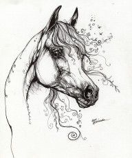 2271875_Arabian_Horse_Drawing_9