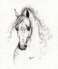 2276338_Piaff_Polish_Arabian_Horse_Drawing