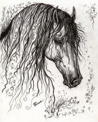 2251938_Andalusian_Horse_Drawing_2