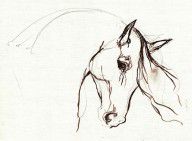 1838146_Horse_Sketch