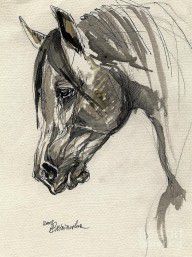 1831561_Grafik_Polish_Arabian_Horse_Ink_Drawing