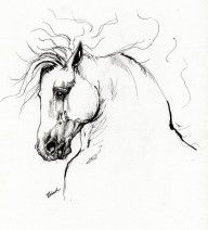 2248854_Andalusian_Horse_Drawing_1