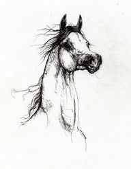 2242372_Arabian_Horse_Drawing_2