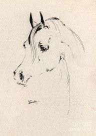 776326_Horse_Head_Sketch