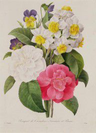 8698790_Camellias_Narcissus_And_Pansies