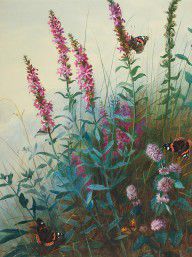 8863140_Purple_Loosestrife_And_Watermind