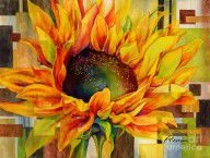 13025717_Sunflower_Canopy