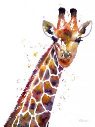 16125370_Giraffe
