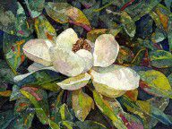 16550501_Magnolia_Blossom