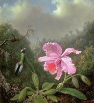10461194_Still_Life_With_An_Orchid_And_A_Pair_Of_Hummingbirds