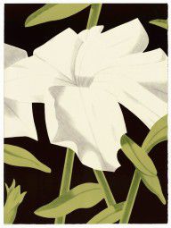 White Petunia from Six New York Artists_1969
