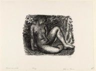 Seated Nude (Femme Nue Assise sous des Feuillages)_(1927)