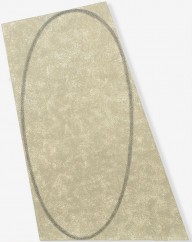 Grey Irregular Area with a Drawn Ellipse (model)-ZYGR74657