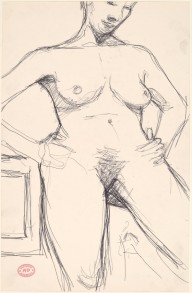 Untitled [head-to-knee view of a nude with her arms akimbo]-ZYGR122691