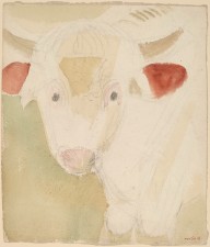 A Little Yearling, Ayrshire Bull, Rowe, Massachusetts-ZYGR67977